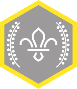 Image of silver scout award