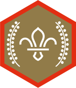 Image of gold scout award