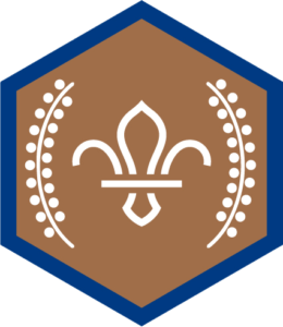 Image of bronze scout award