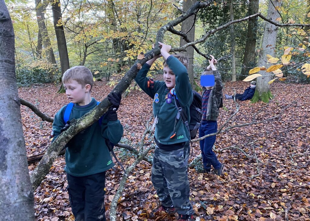 Autumn Cub Hike - Phoenix Scouts